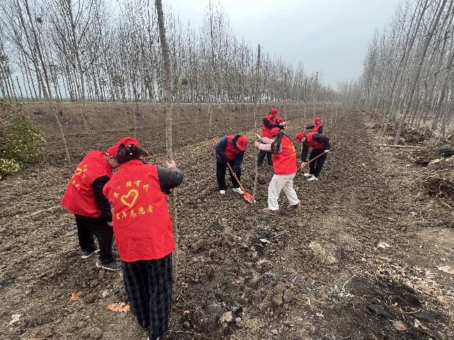 3 五蒙高速TJ-05標(biāo)開(kāi)展志愿植樹(shù)活動(dòng).jpg